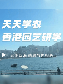 与香港园艺学会联合举办香港园艺研学，专业园境师带队讲解。