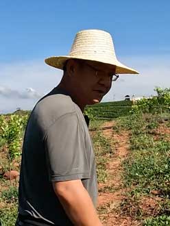 农业人叶涛，50多岁通讯人跨界搞农业，他要用1000万打造一个梦。